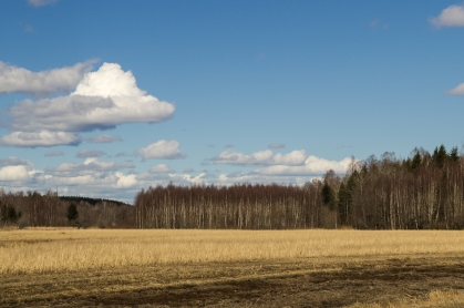Varmland landscape